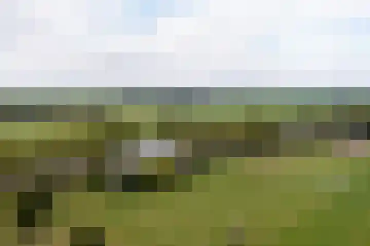 Kanaaldijk 8 Leerbroek thumbnail 53
