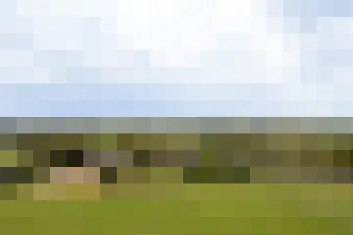 Kanaaldijk 8 Leerbroek thumbnail 54