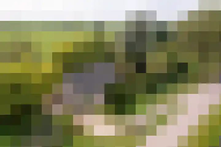 Kanaaldijk 8 Leerbroek thumbnail 55