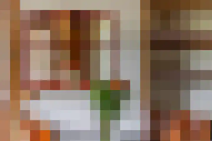 Kanaaldijk 8 Leerbroek thumbnail 9