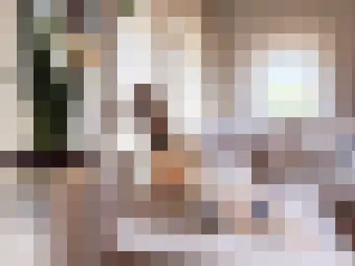 Kanaaldijk 92 Ossenisse thumbnail 11