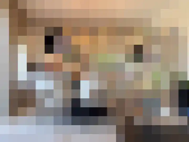Kanaaldijk 92 Ossenisse thumbnail 13