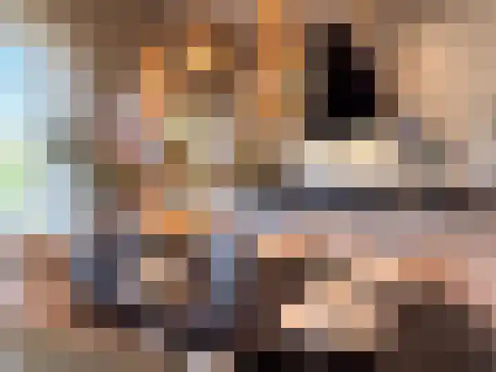 Kanaaldijk 92 Ossenisse thumbnail 14