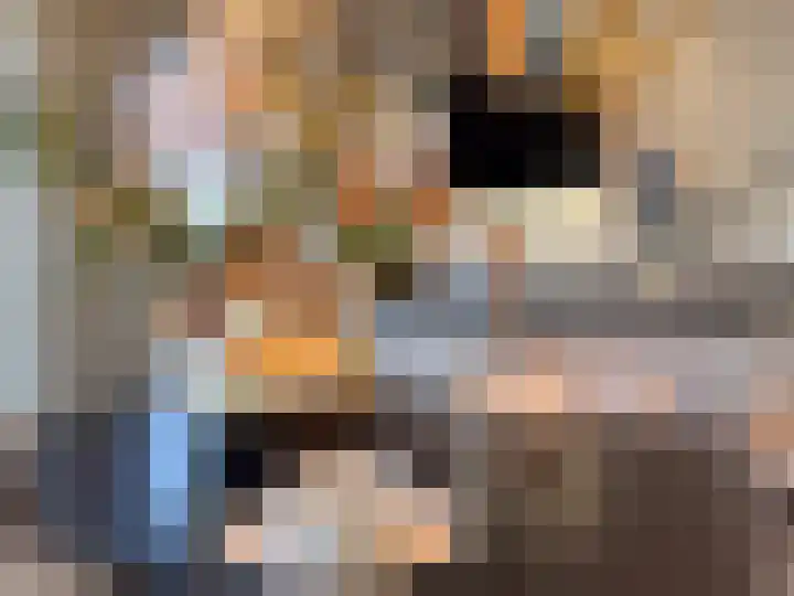 Kanaaldijk 92 Ossenisse thumbnail 15