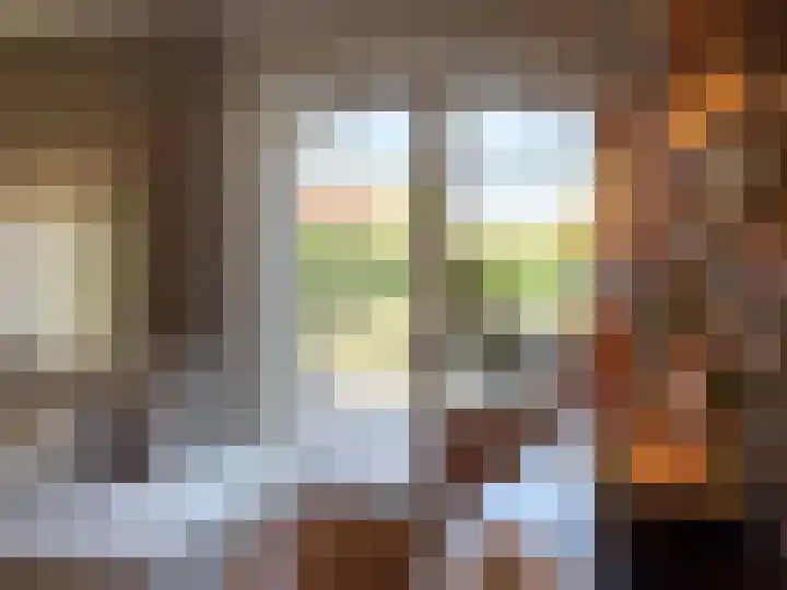 Kanaaldijk 92 Ossenisse thumbnail 18