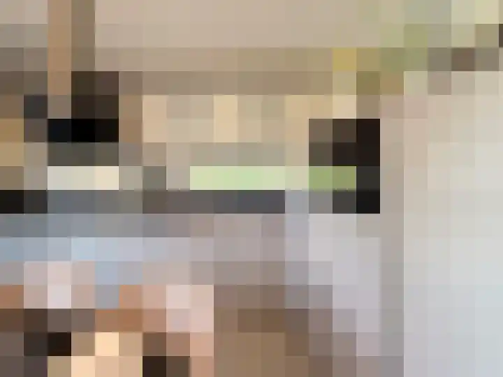 Kanaaldijk 92 Ossenisse thumbnail 20