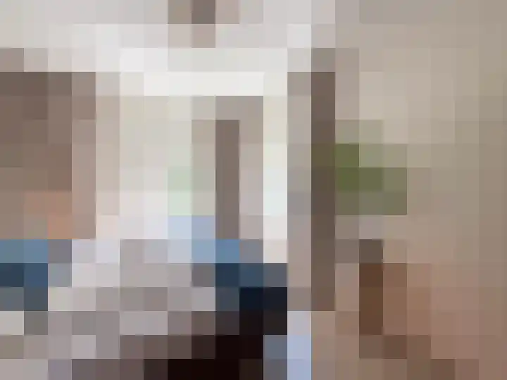 Kanaaldijk 92 Ossenisse thumbnail 24