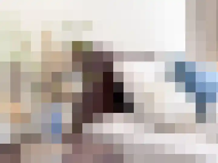 Kanaaldijk 92 Ossenisse thumbnail 25
