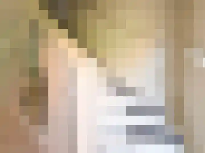 Kanaaldijk 92 Ossenisse thumbnail 27