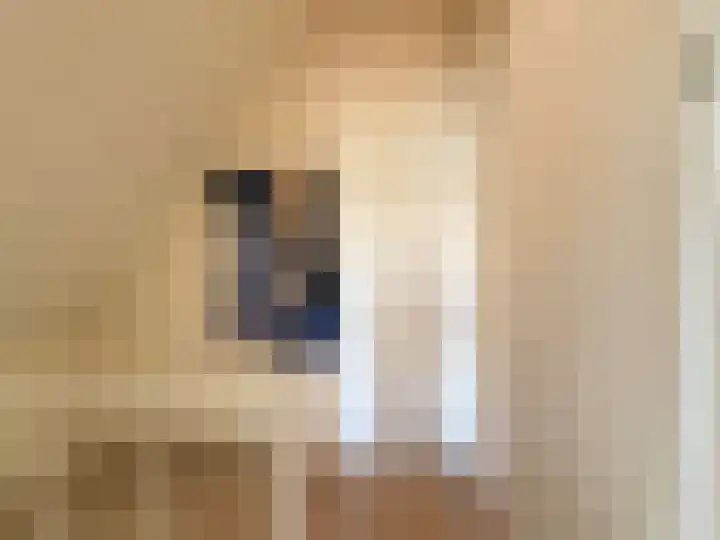 Kanaaldijk 92 Ossenisse thumbnail 28