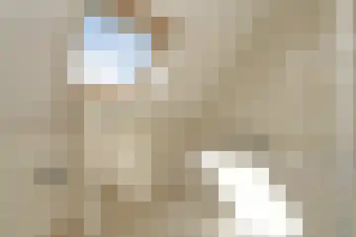 Kanaaldijk 92 Ossenisse thumbnail 30