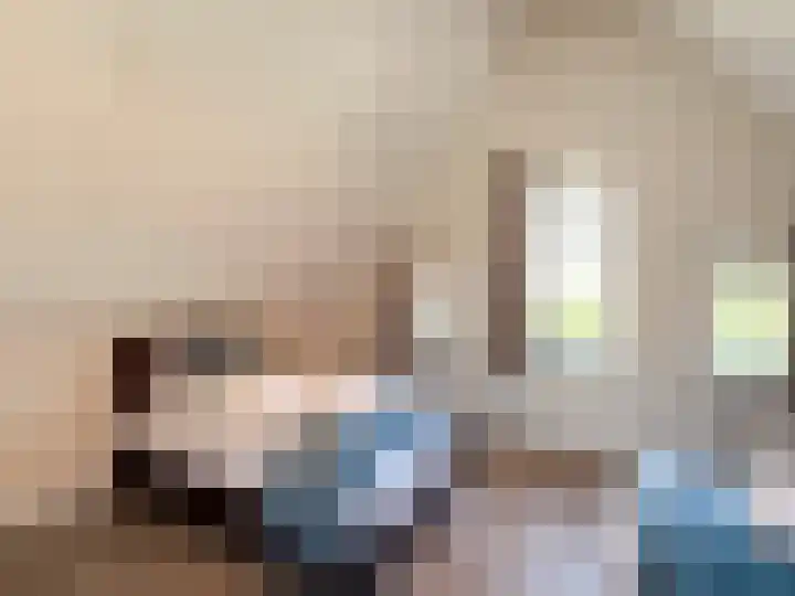 Kanaaldijk 92 Ossenisse thumbnail 31