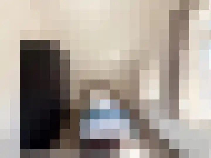 Kanaaldijk 92 Ossenisse thumbnail 32