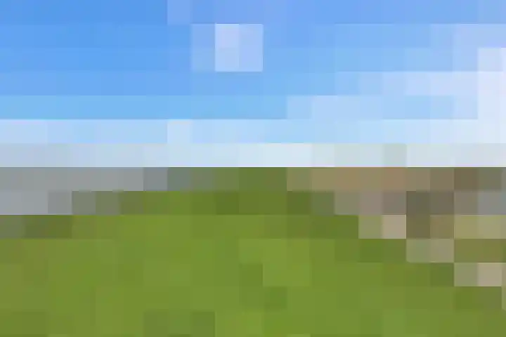 Kanaaldijk 92 Ossenisse thumbnail 37