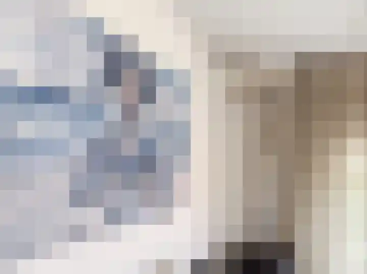Kanaaldijk 92 Ossenisse thumbnail 5