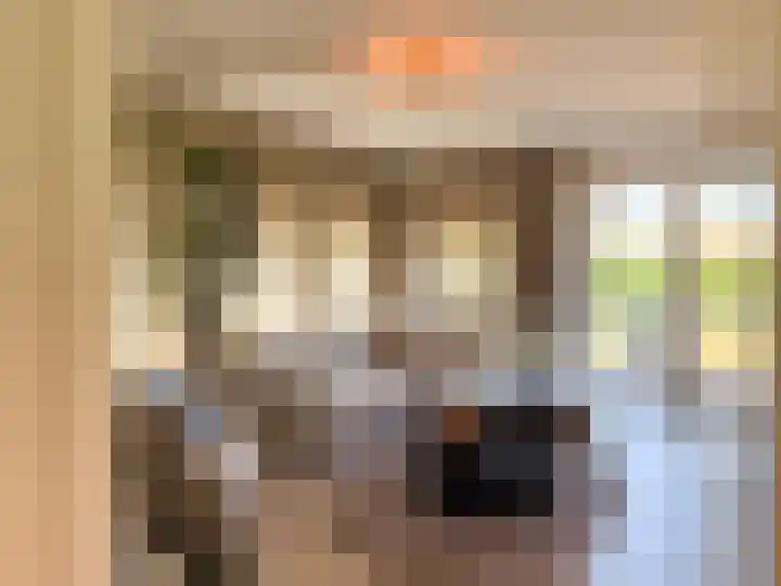 Kanaaldijk 92 Ossenisse thumbnail 6
