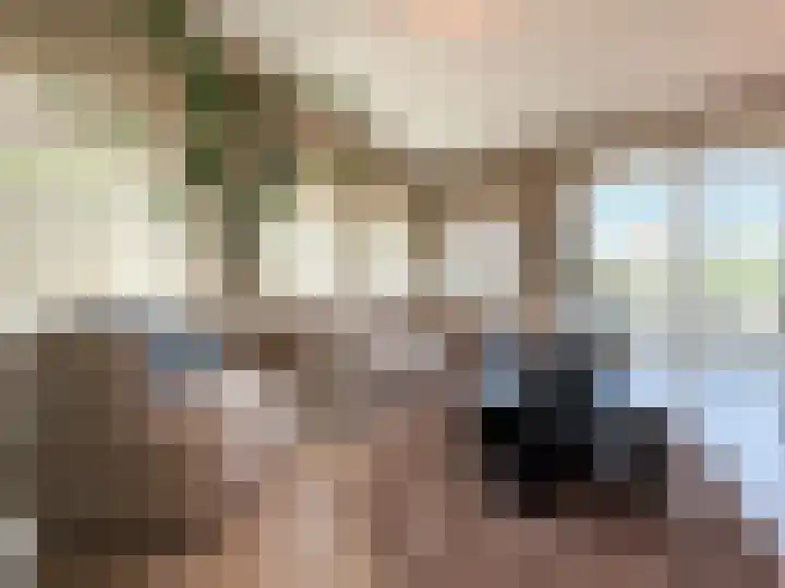 Kanaaldijk 92 Ossenisse thumbnail 7