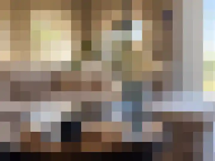 Kanaaldijk 92 Ossenisse thumbnail 8