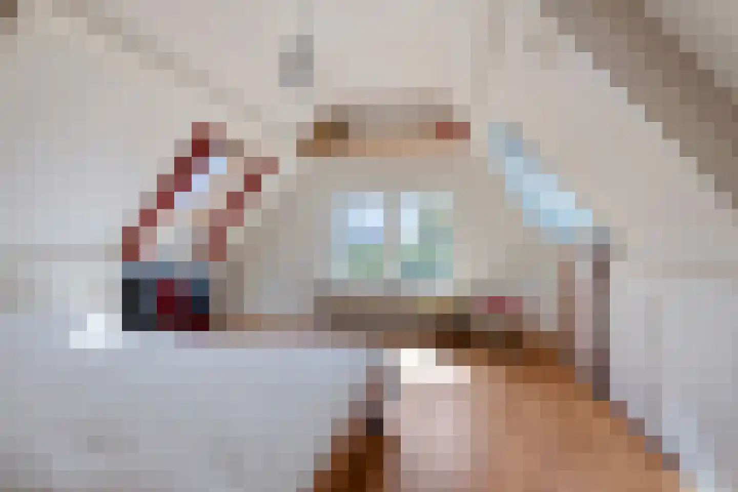 Kanaaldijk 99 Koedijk thumbnail 4