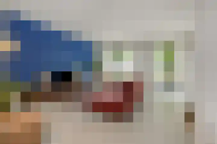 Kanaaldijk N.O. 74 B Helmond thumbnail 17
