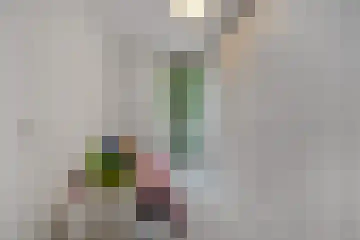 Kanaaldijk N.O. 74 B Helmond thumbnail 36