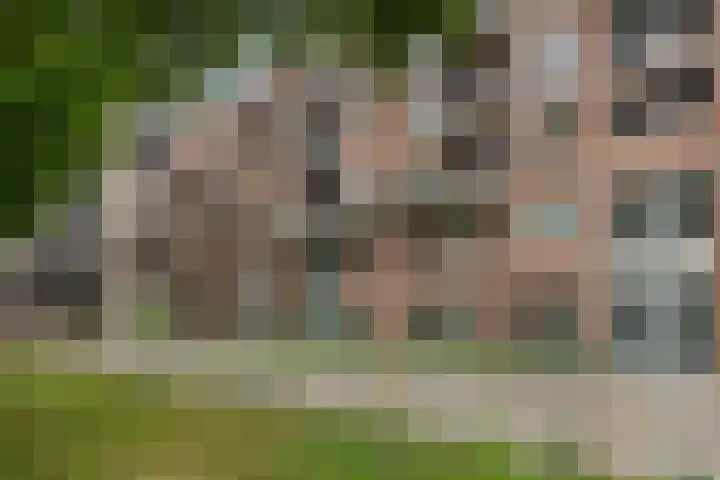 Kanaaldijk N.O. 74 B Helmond thumbnail 7