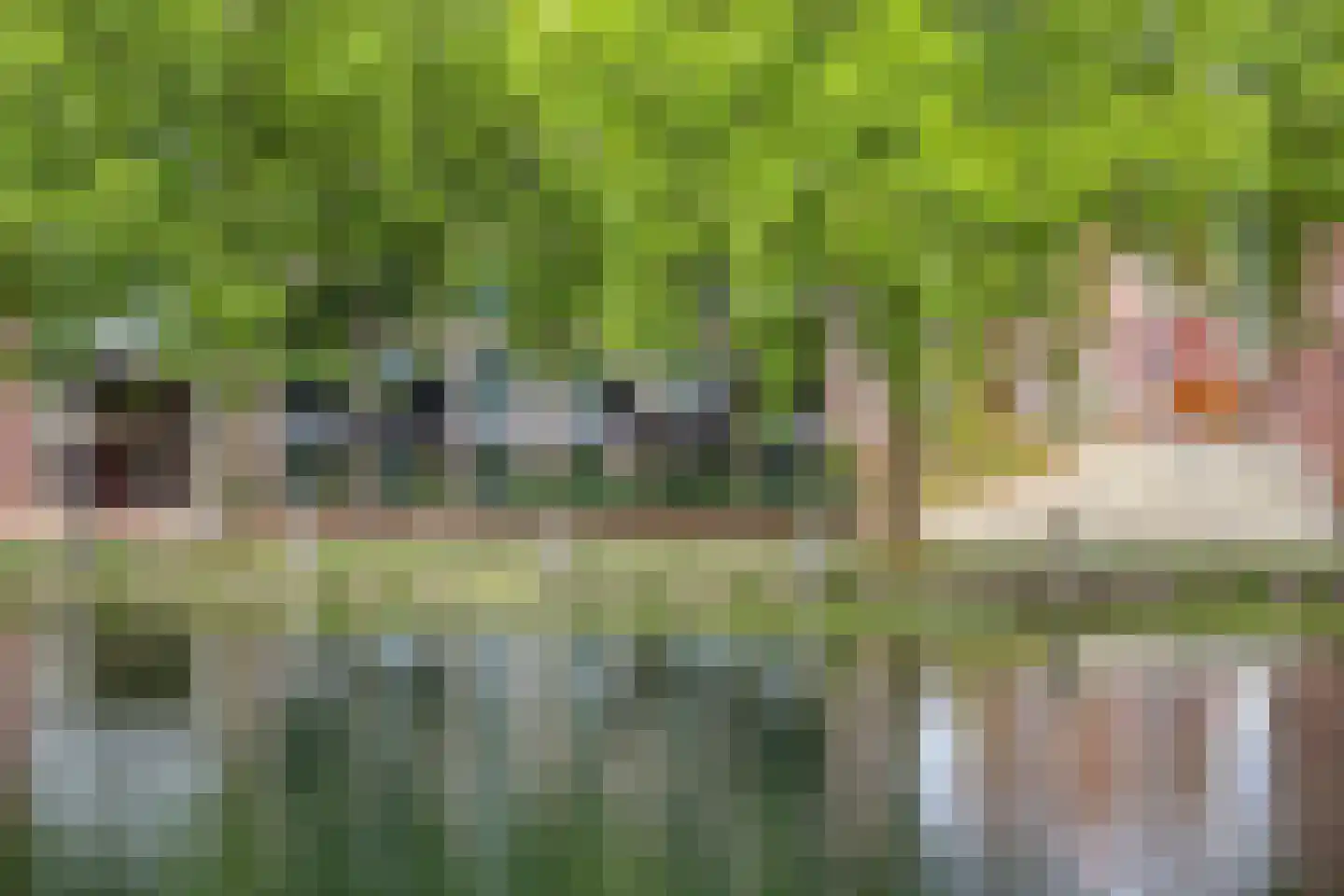 Kanaaldijk N.O. 76 A Helmond thumbnail 37