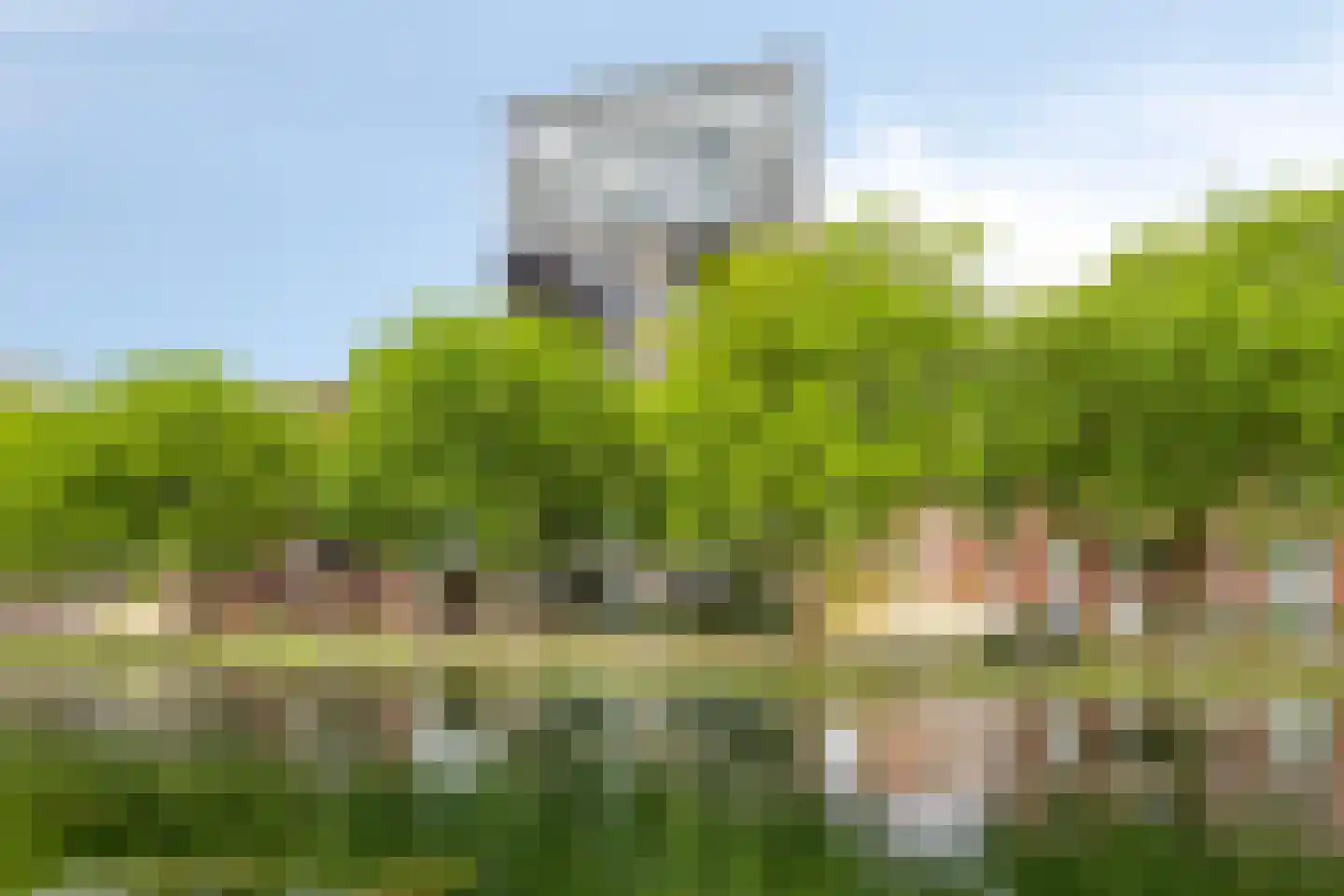 Kanaaldijk N.O. 76 A Helmond thumbnail 38