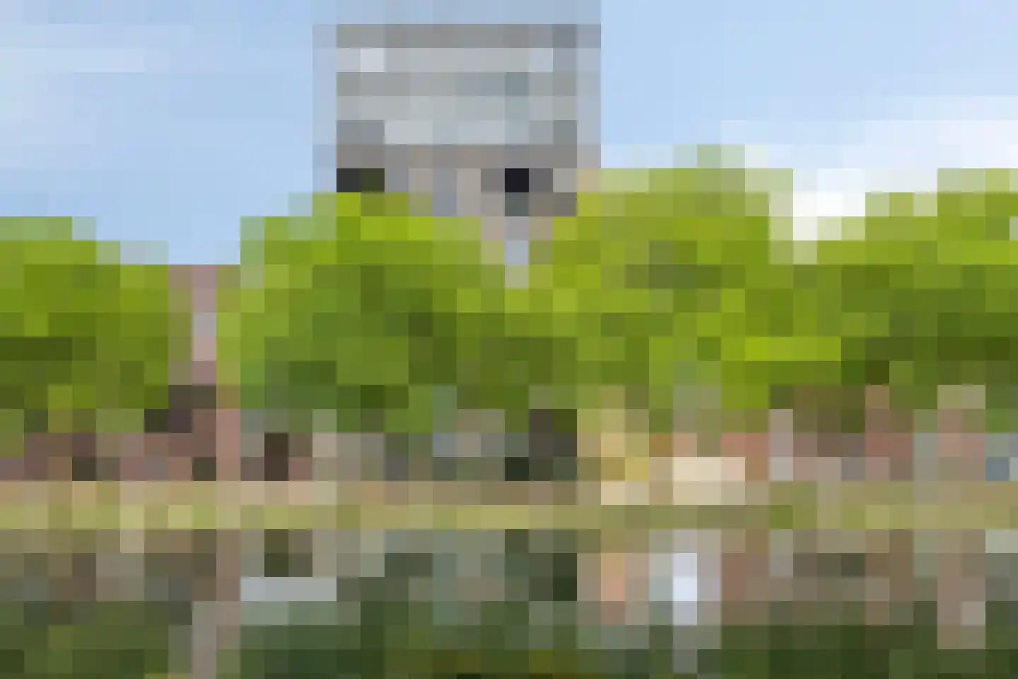 Kanaaldijk N.O. 76 A Helmond thumbnail 40