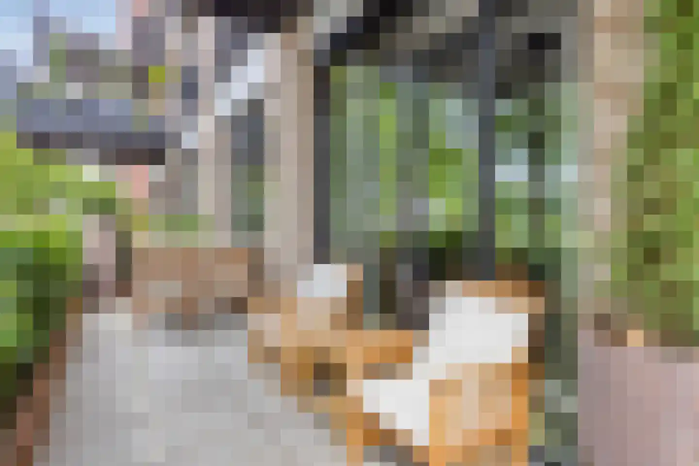 Kanaaldijk N.O. 76 A Helmond thumbnail 6