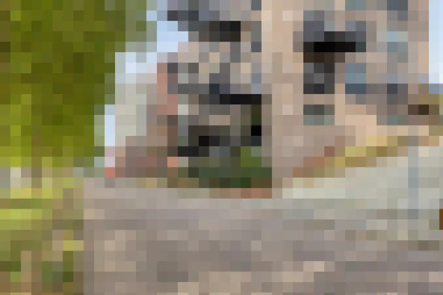 Kanaaldijk N.O. 76 L Helmond thumbnail 29