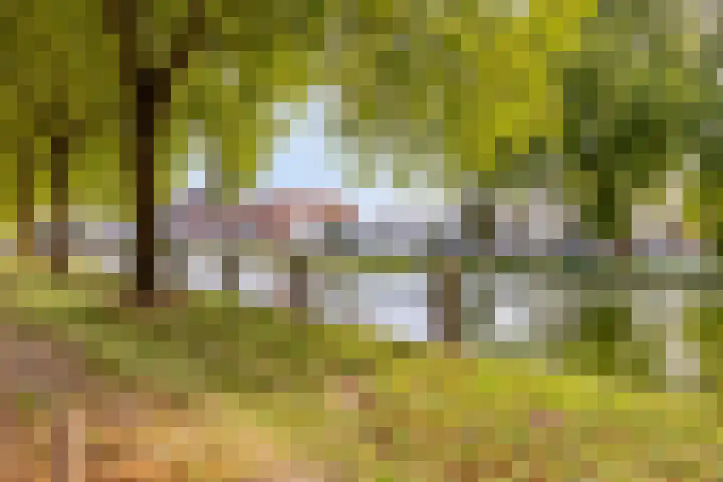 Kanaaldijk N.O. 76 L Helmond thumbnail 32