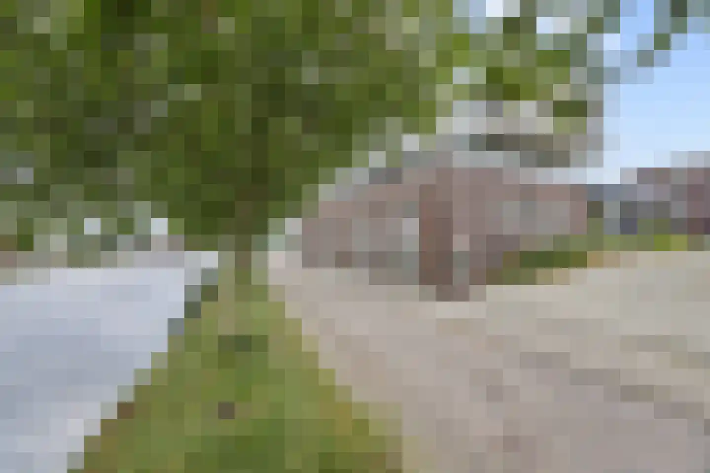 Kanaaldijk N.O. 86 Helmond thumbnail 43