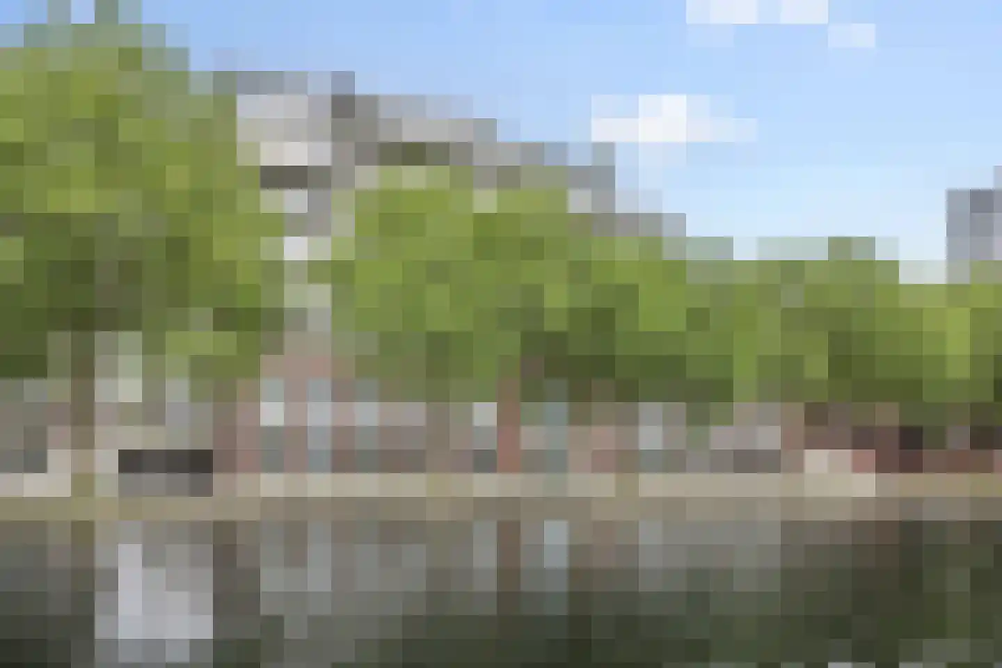 Kanaaldijk N.O. 86 Helmond thumbnail 46