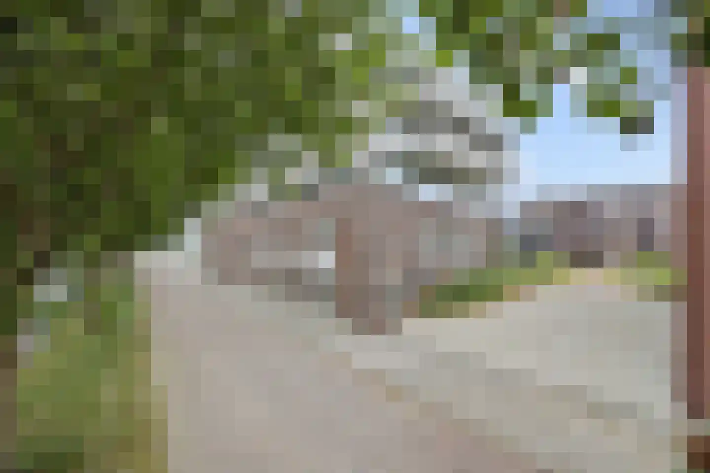 Kanaaldijk N.O. 86 Helmond thumbnail 8