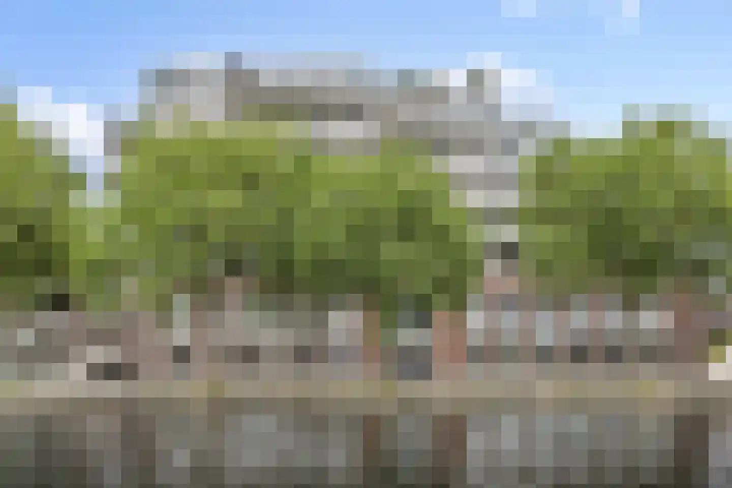 Kanaaldijk N.O. 86 Helmond thumbnail 9