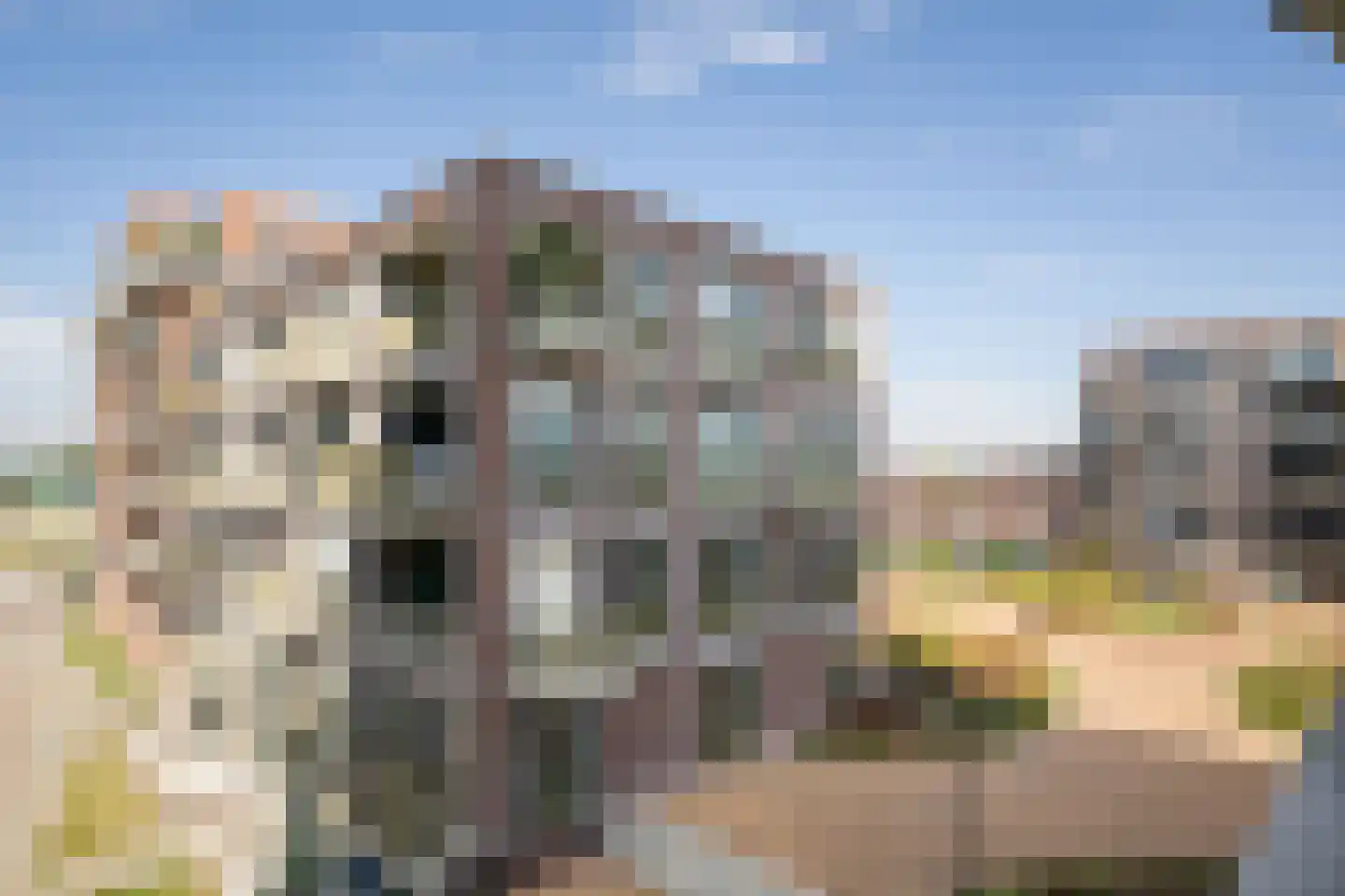 Kanaaldijk N.O. 88 D Helmond thumbnail 28