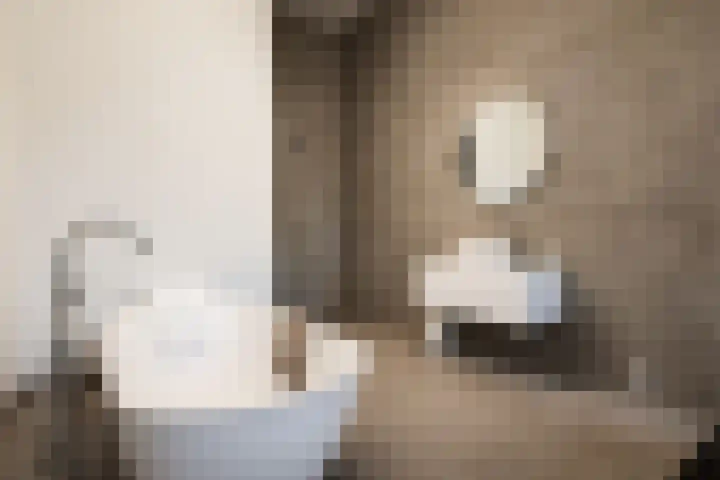 Kanaaldijk N.O. 88 D Helmond thumbnail 33
