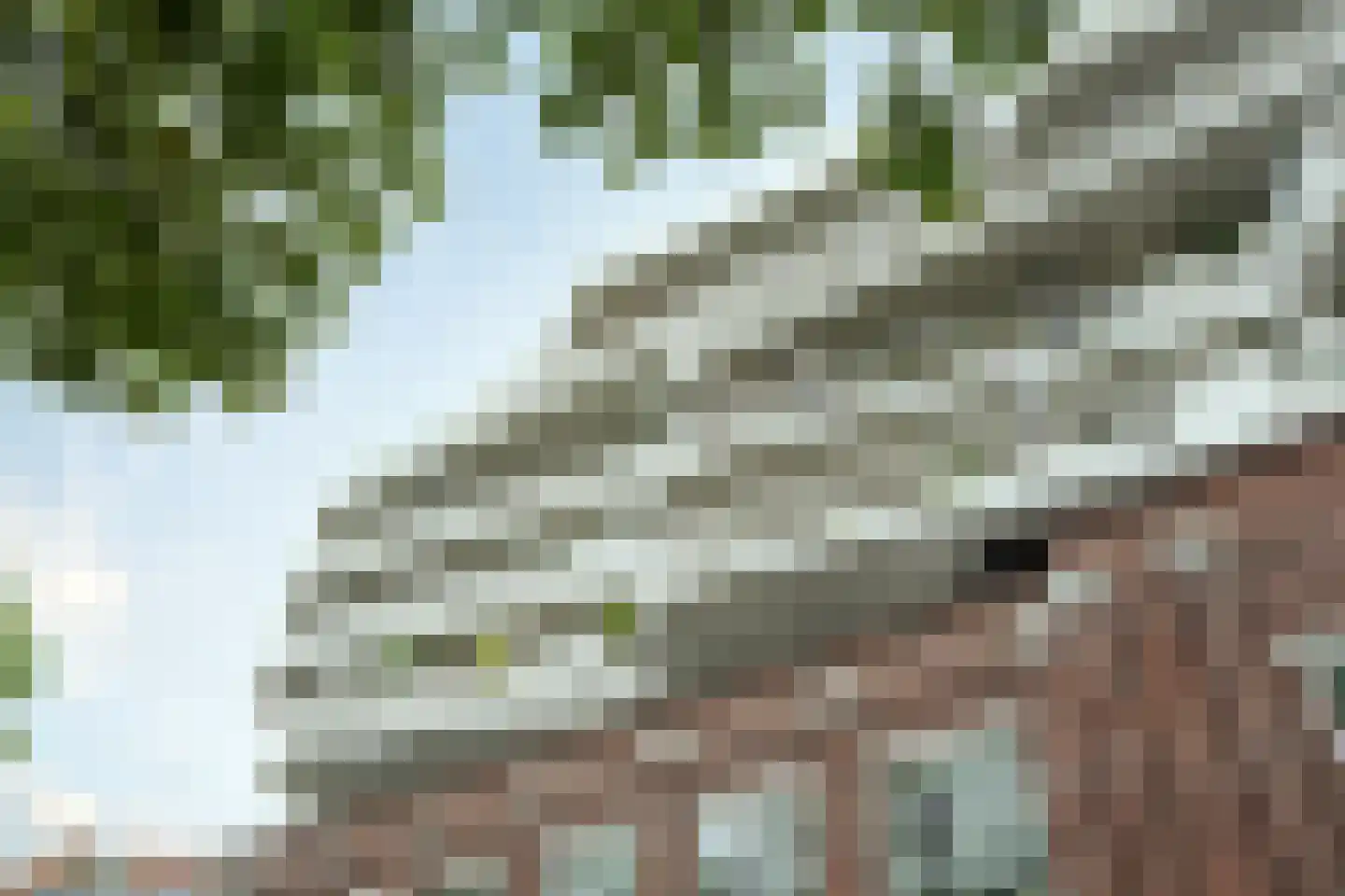 Kanaaldijk N.O. 88 D Helmond thumbnail 48