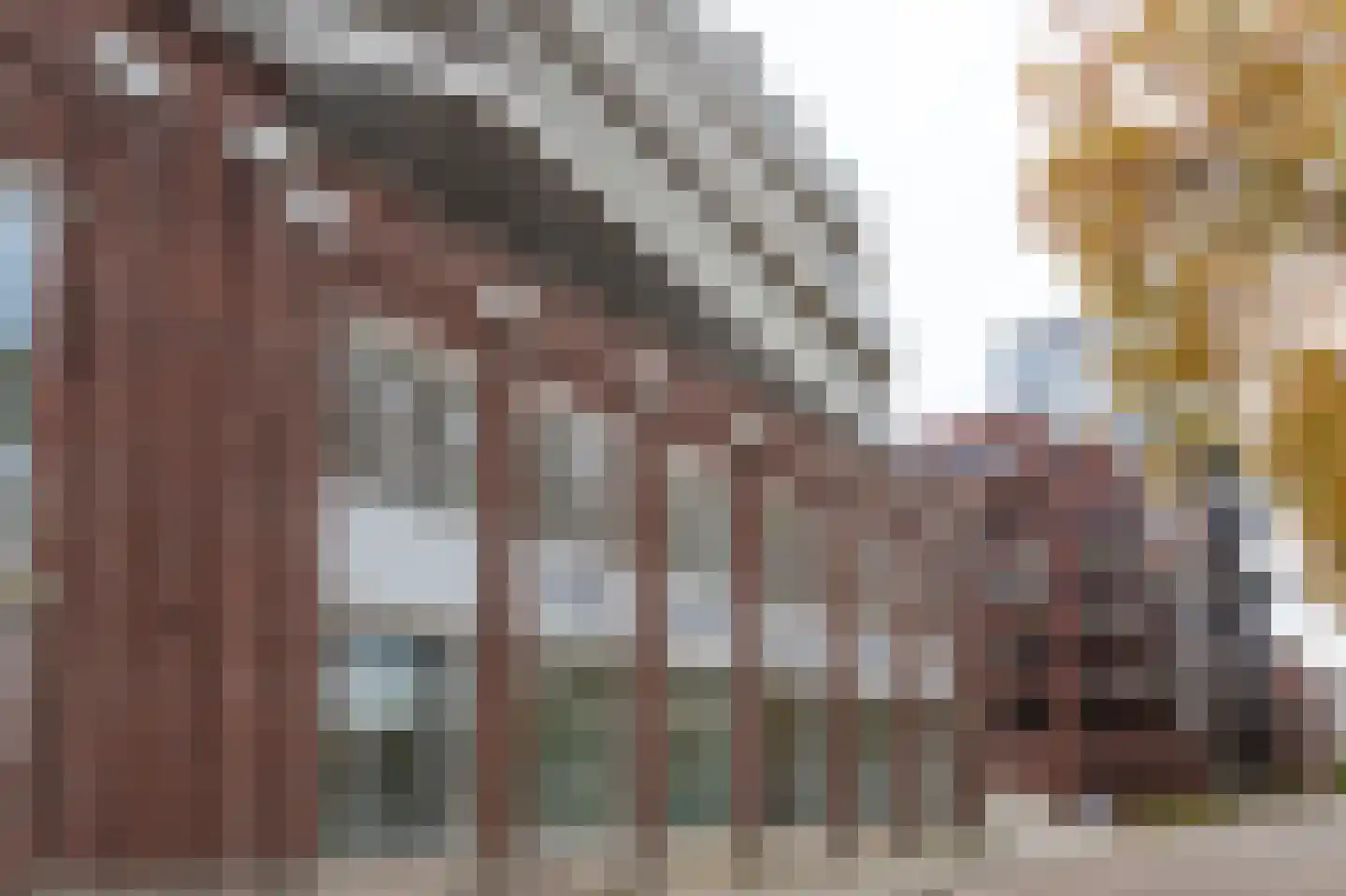 Kanaaldijk N.O. 88 D Helmond thumbnail 5