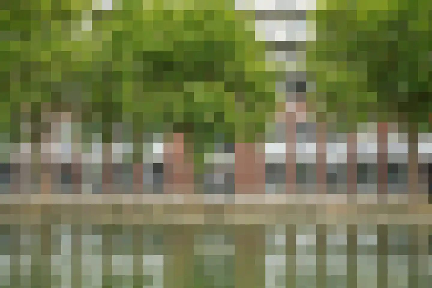 Kanaaldijk N.O. 88 D Helmond thumbnail 6
