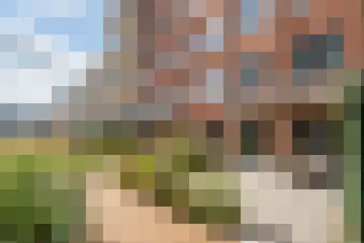 Kanaaldijk N.O. 92 C Helmond thumbnail 24