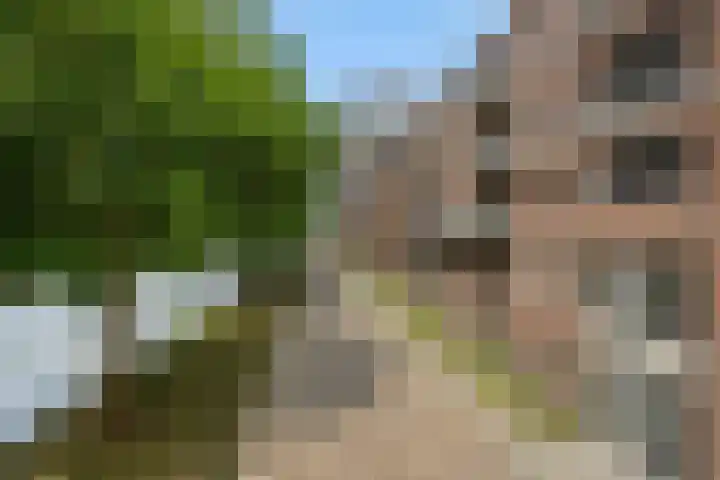 Kanaaldijk N.O. 92 C Helmond thumbnail 33