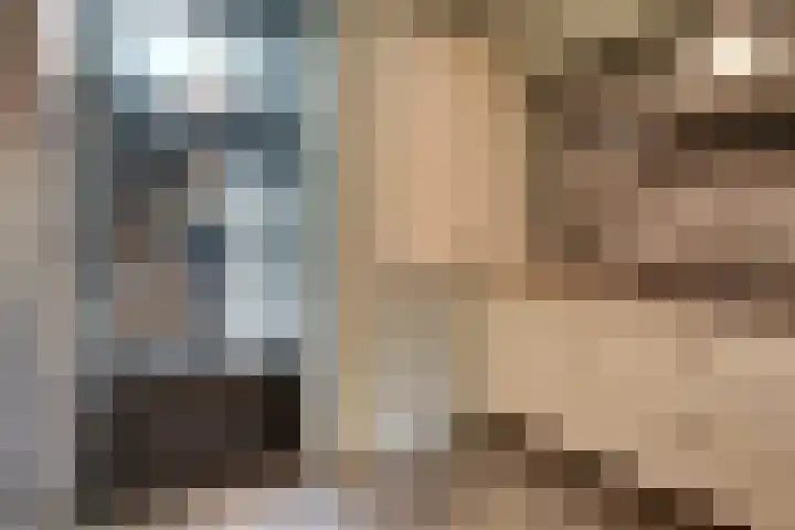 Kanaaldijk N.W. 151 Helmond thumbnail 25