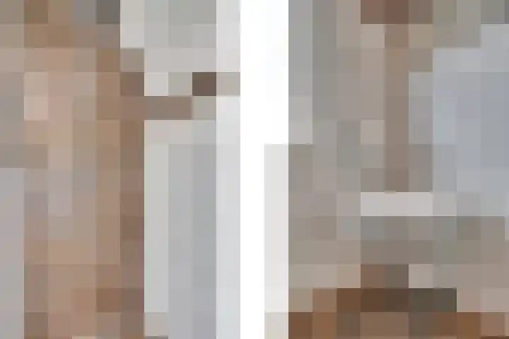 Kanaaldijk N.W. 151 Helmond thumbnail 41