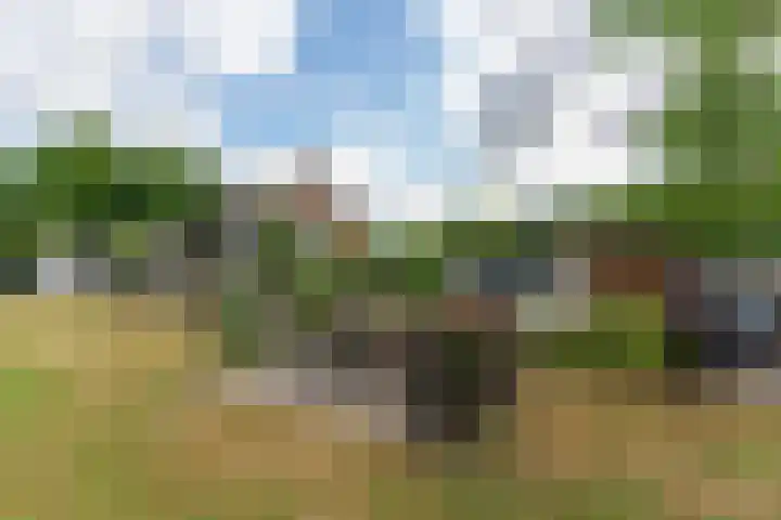 Kanaaldijk N.W. 151 Helmond thumbnail 49