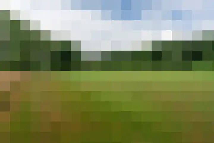 Kanaaldijk N.W. 151 Helmond thumbnail 53