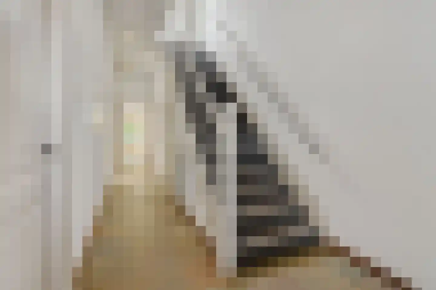 Kanaaldijk N.W. 89 Helmond thumbnail 10
