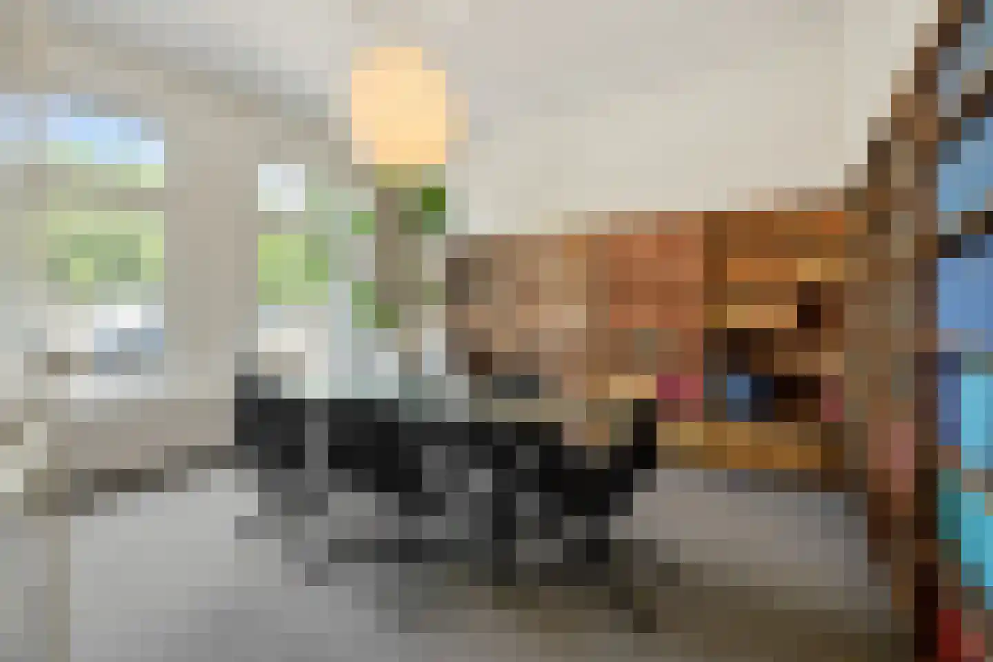 Kanaaldijk N.W. 89 Helmond thumbnail 11