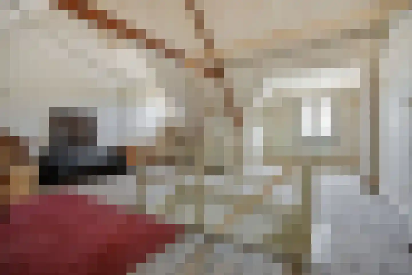 Kanaaldijk N.W. 89 Helmond thumbnail 28